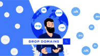 What is a Dropped Domain? And its Types available.