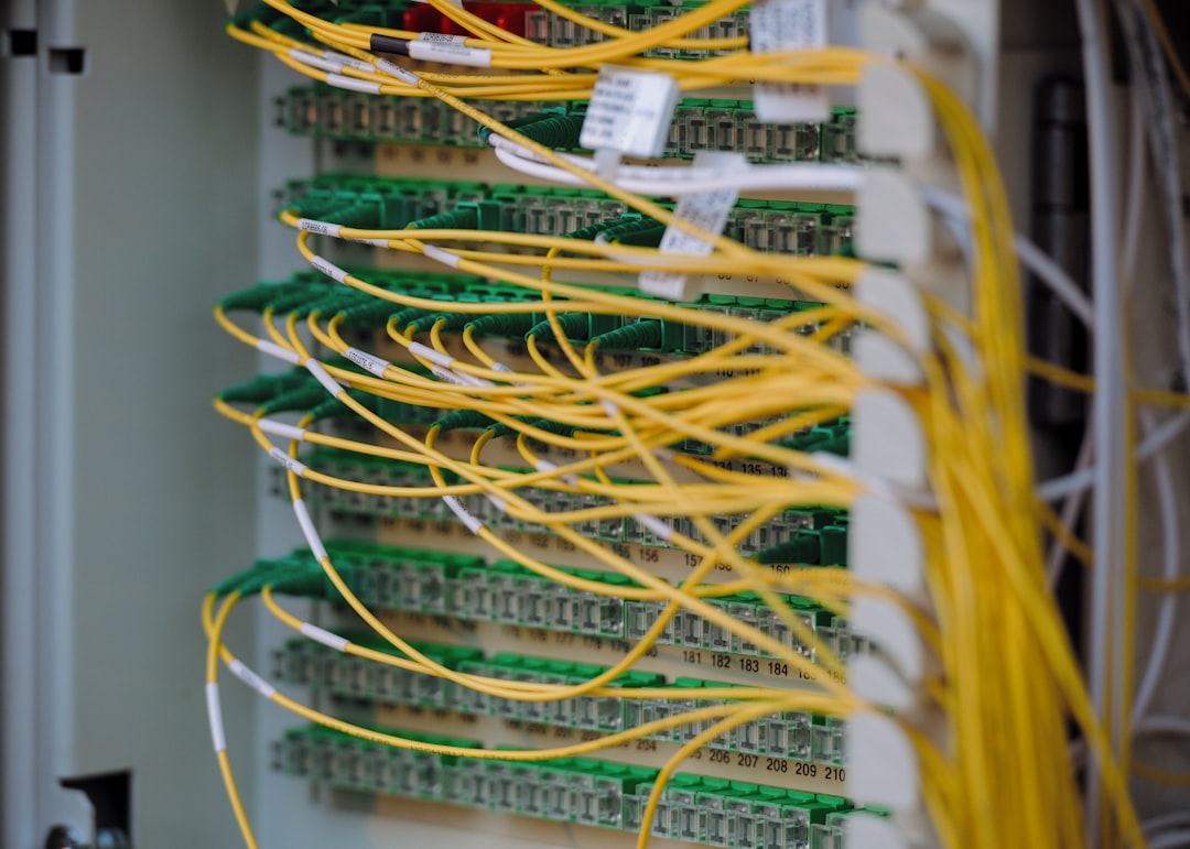Network server cables representing shared hosting infrastructure